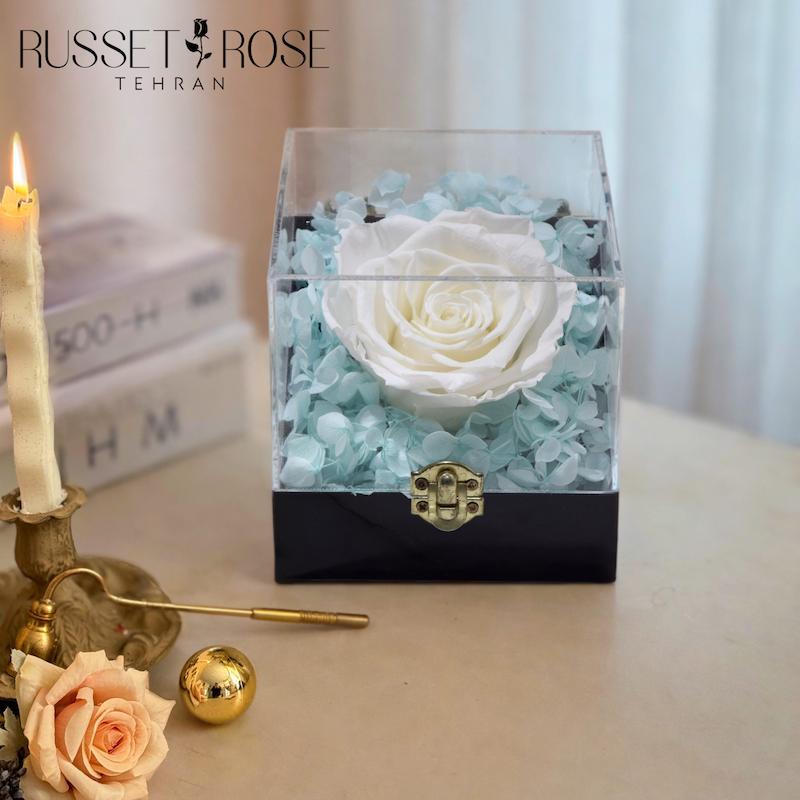 باکس رز جاودان سفید با هورتانسیا جاودان ابی