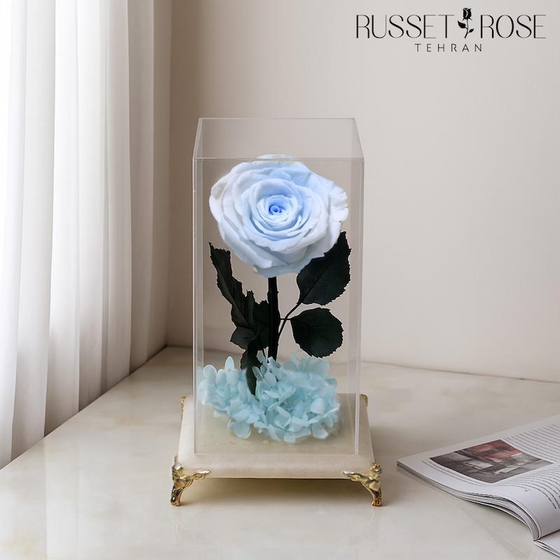 باکس پایه سنگ مرمر با رز جاودان آبی سفید و هورتانسیا ابی