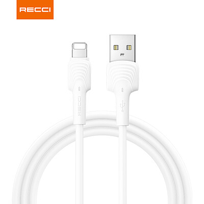 کابل USB به لایتنینگ رسی مدل RTC-N26L یک متری