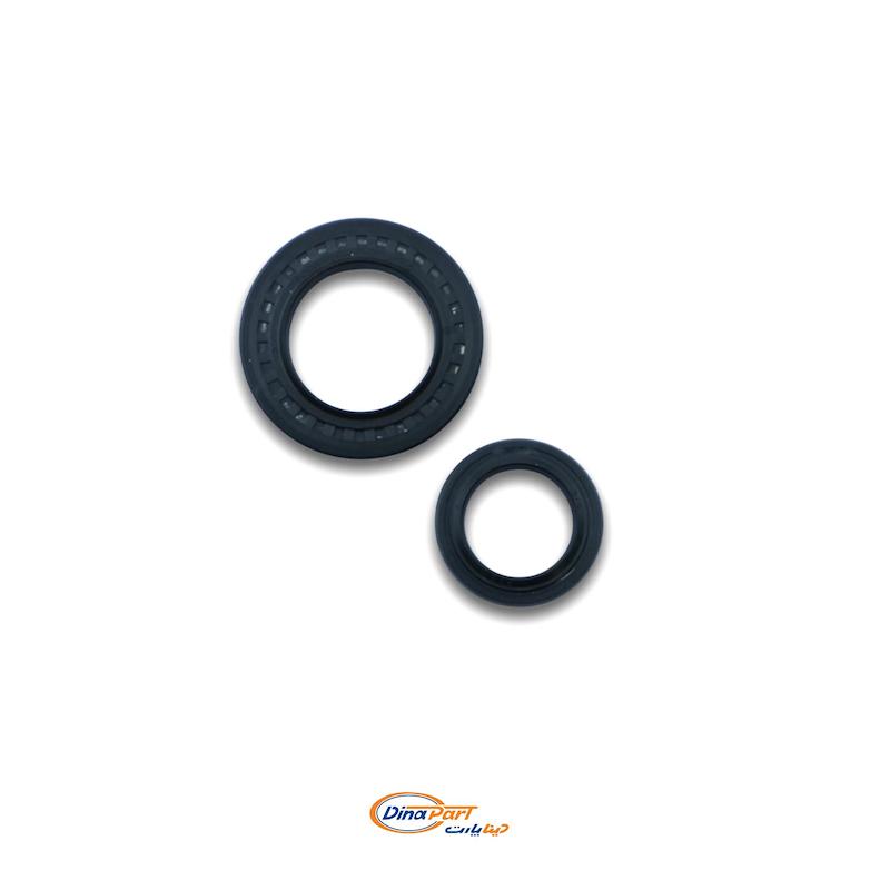 ‫کاسه نمد کوچک و بزرگ شیر فرمان پژو 405‬‏ - 21203047 - دینا پارت