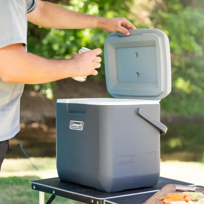 کولباکس کلمن مدل Coleman Daintree Personal Hard Icebox Cooler 28L