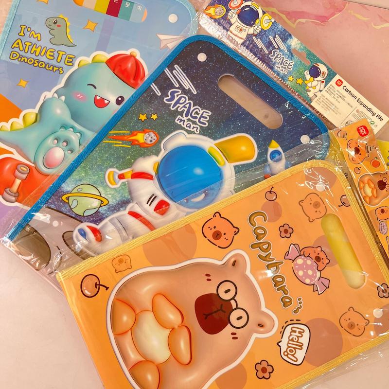 پوشه دیوایدری