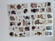 پک استیکر  خاطرات