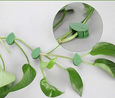 گیره نگهدارنده برگ گیاه مدل برگی ( پک ۱۰ تایی )