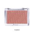 رژگونه‌های Future Makeup (فیوچر میکاپ)
