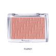 رژگونه‌های Future Makeup (فیوچر میکاپ)