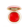 رژگونه کرمی فیوچر میکاپ Future Makeup (Cream Blush)
