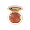 رژگونه کرمی فیوچر میکاپ Future Makeup (Cream Blush)