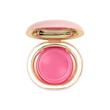 رژگونه کرمی فیوچر میکاپ Future Makeup (Cream Blush)