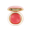 رژگونه کرمی فیوچر میکاپ Future Makeup (Cream Blush)