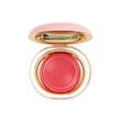 رژگونه کرمی فیوچر میکاپ Future Makeup (Cream Blush)