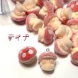 قارچ مخملی قرمز🍄