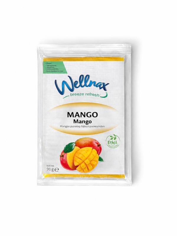 پودر ژله انبه ولناکس Wellnax – 91 گرم