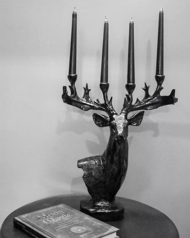 جاشمعی 🦌🖤