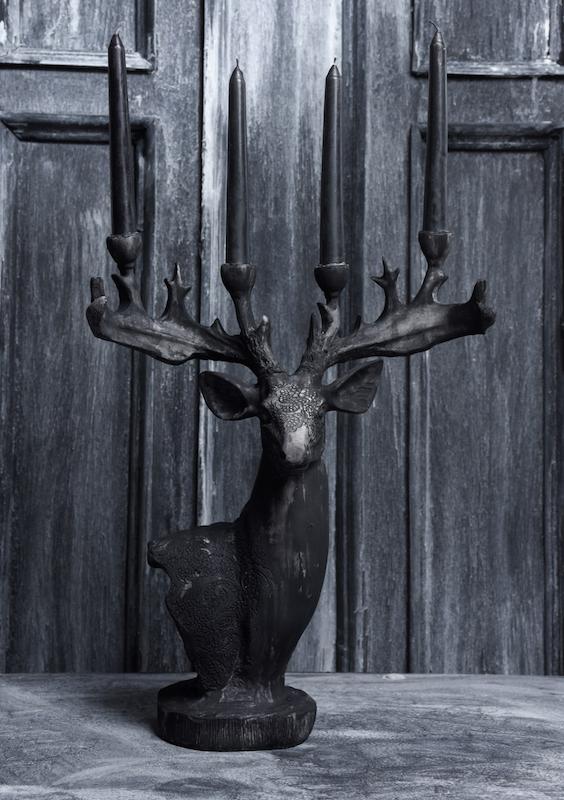 جاشمعی 🦌🖤