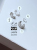 ایرکاف-گوشواره موانا(تفکیکی)