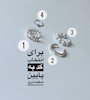 ایرکاف-گوشواره مرواریدی(تفکیکی)