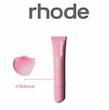 رژ rhode