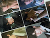 پک اختصاصی Love & deepspace 