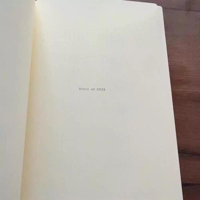 مینی پلنر