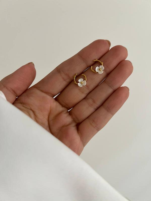 گل گوش شکوفه و شاخه