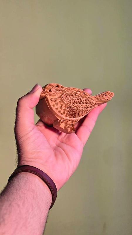 نمای جانبی قالب گنجشکک