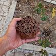 نمای راست قالب طرح گلابتون دکان هنری زا