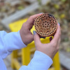 مهر چوبی کلمپه طرح میخک