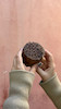 مهر کلمپه طرح اناردون
