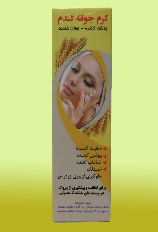 کرم جوانه گندم