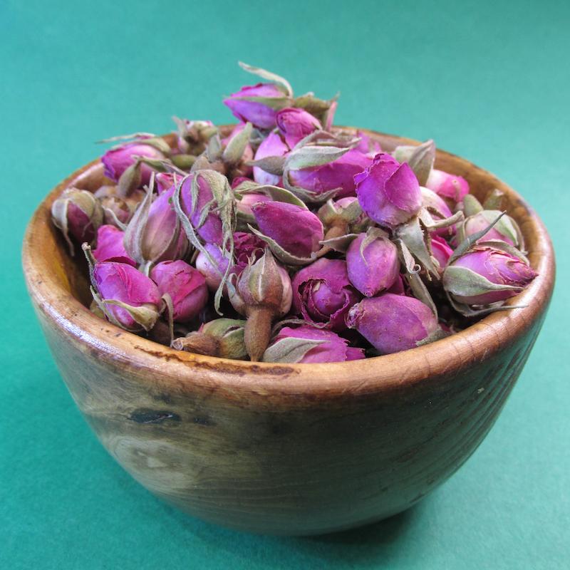 غنچه گل محمدی داراب
