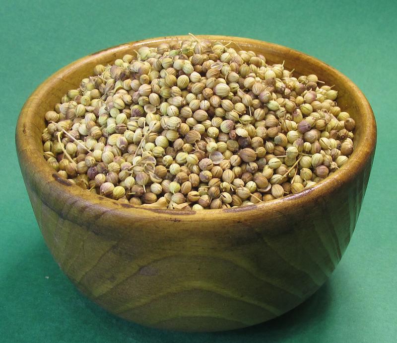 تخم گشنیز