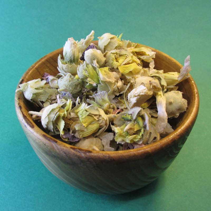 گل ختمی سفید