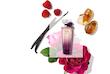 عطر لانکوم ترزور میدنایت رز | Lancome Tresor Midnight Rose به قیمت عمده