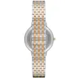ساعت مچی زنانه امپریو آرمانی (EMPORIO ARMANI) AR2508