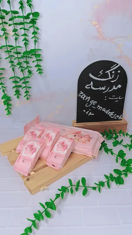 دستمال مرطوب خرگوش