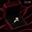 پشت حلقه Vela