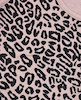 کراپ پلنگی
