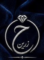 نقره حمیدرضا زرین