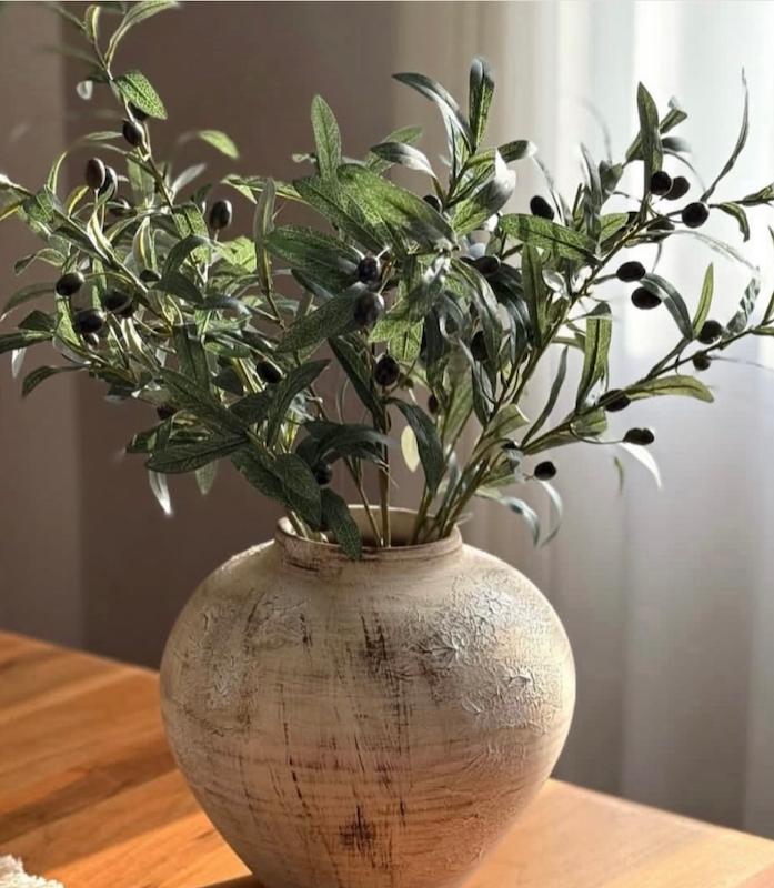 شاخه زیتون بلند وارداتی