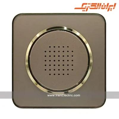 زنگ اخبار اسپیناس طلایی ایران الکتریک