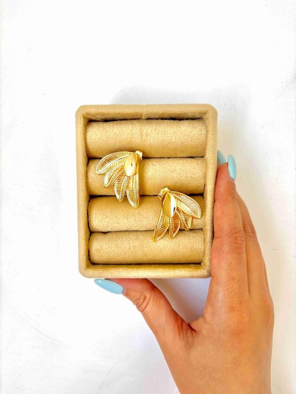 گوشواره پرسرخ پوستی
