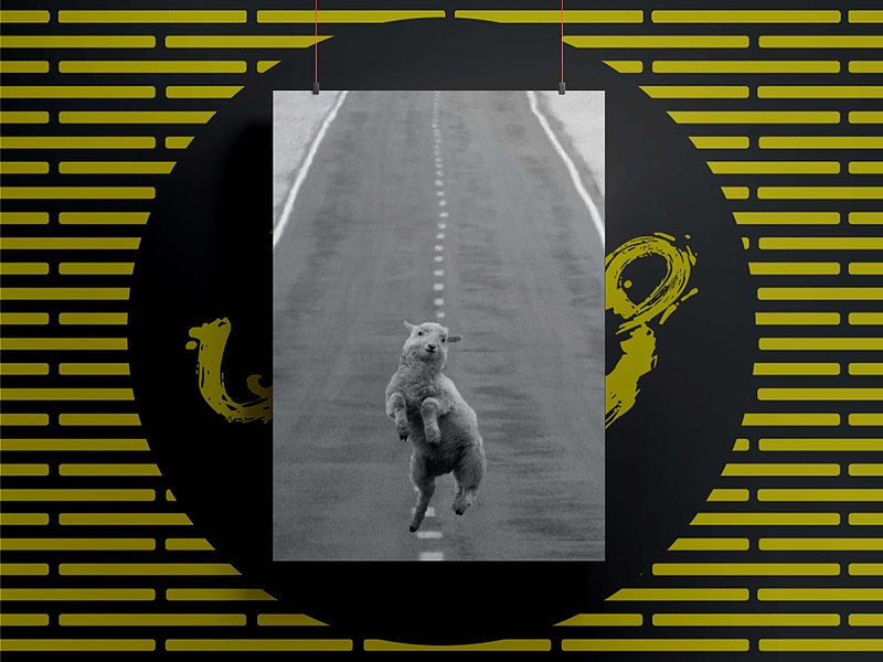 شاسی37