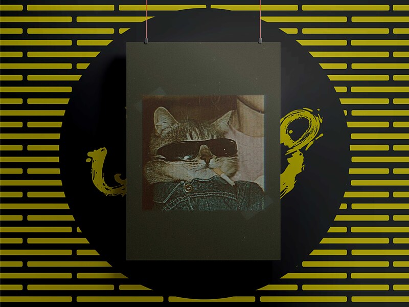 شاسی91