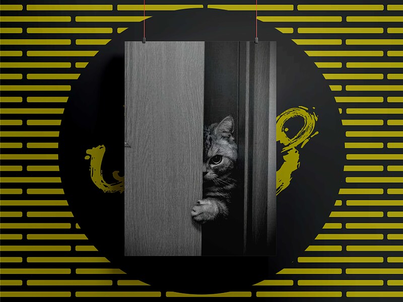شاسی95