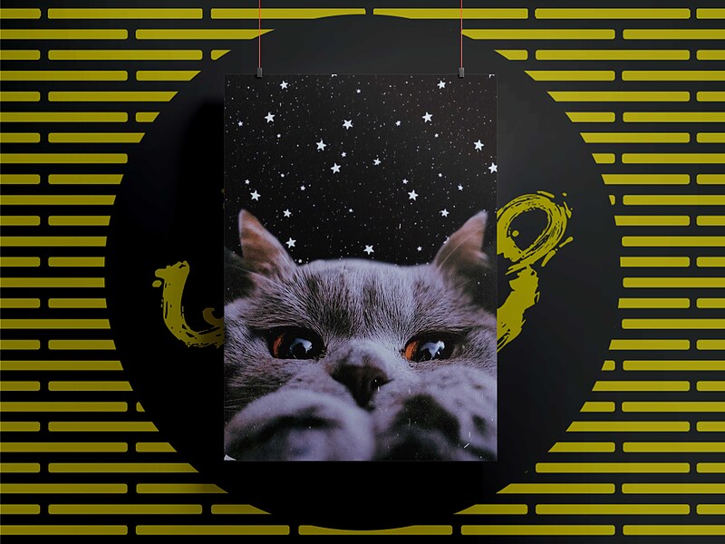 شاسی119