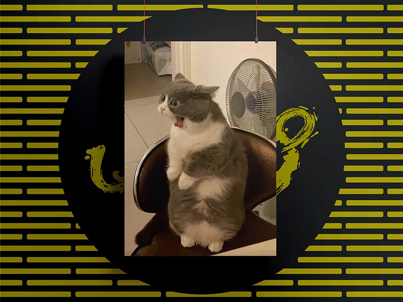 شاسی131