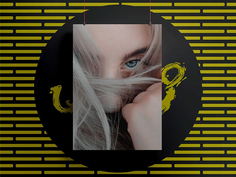 شاسی399