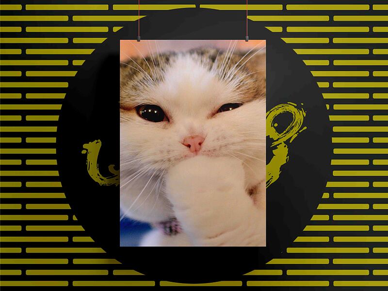 شاسی875