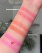 رژ گونه دوتایی بیولیس شماره 261 (Peachy Glow)